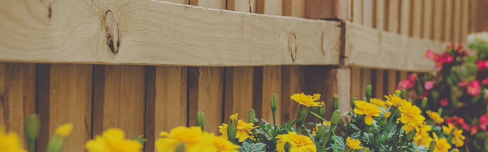 Landscaping Professionals