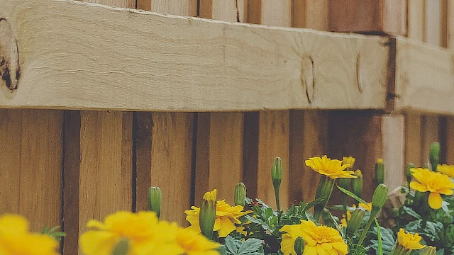 Landscaping Professionals
