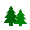 Featured Tree Care