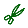 Featured Pruning and Trimming